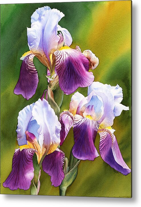Iris Metal Print featuring the painting Sunny Irises by Espero Art