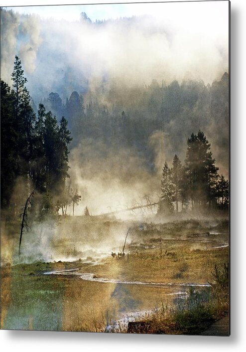 Yellowstone National Park Metal Print featuring the photograph Sunrise in the Valley Of Fire by Marty Koch