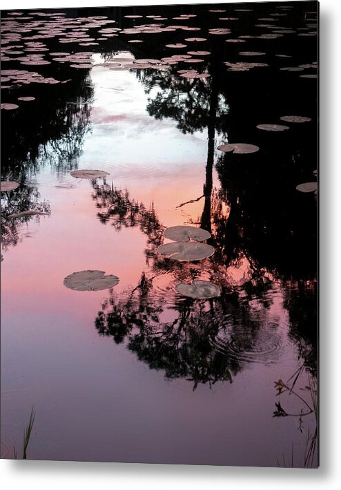 Reflection Metal Print featuring the photograph Sunset on a Florida pond by Karen Rispin