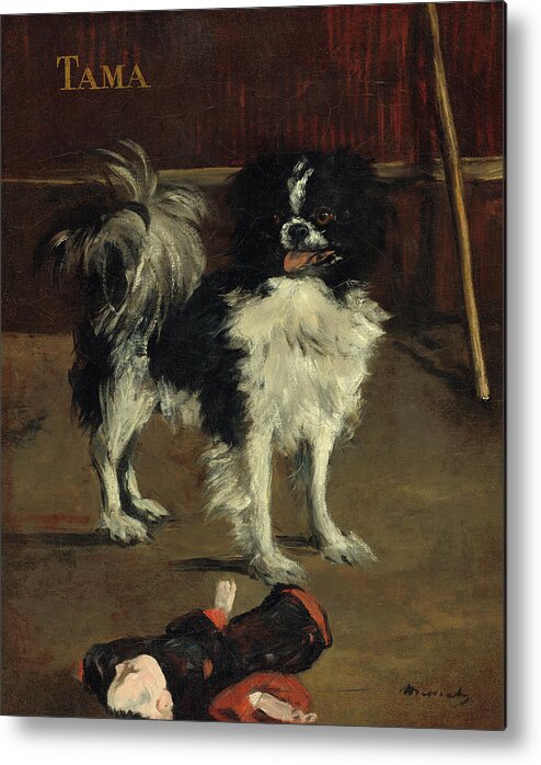 Edouard Manet Metal Print featuring the painting Tama, the Japanese Dog, 1875 by Edouard Manet