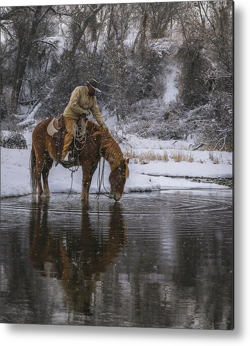 Horse Metal Print featuring the photograph Tap the Water by Laura Hedien