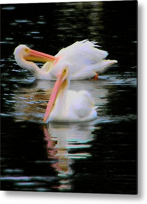 Pelican Metal Print featuring the photograph The Dance by Alison Belsan Horton