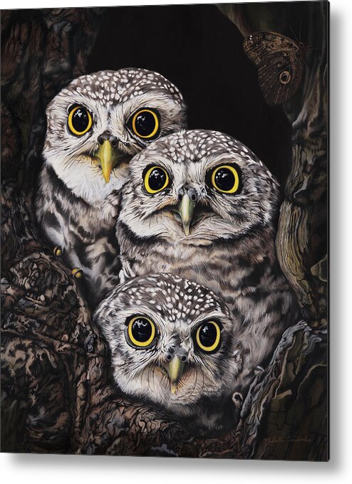 Nikita Coulombe Metal Print featuring the painting Three Little Owls by Nikita Coulombe