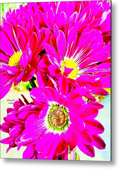 Flowers Metal Print featuring the photograph Todays Bouquet by John Anderson