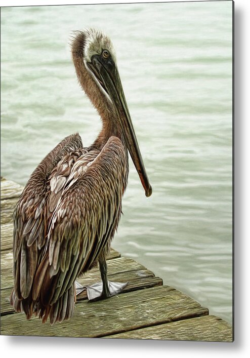 Pelican Metal Print featuring the photograph Tough Old Bird by Brad Barton