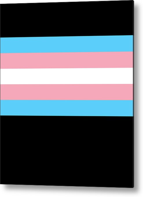 Funny Metal Print featuring the digital art Transgender Pride Flag by Flippin Sweet Gear