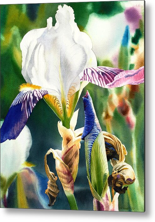 Iris Metal Print featuring the painting Translucent Iris by Espero Art