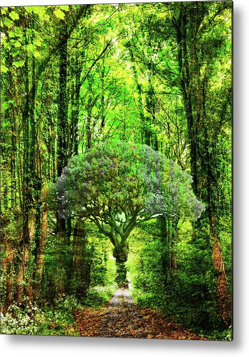 Collage Metal Print featuring the digital art Trees by John Vincent Palozzi