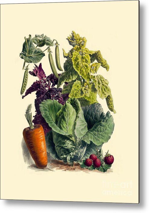 Vegetables Metal Print featuring the digital art Veggie Lover by Madame Memento