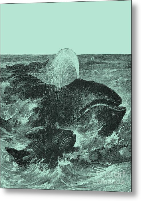 Whale Metal Print featuring the digital art Whale Family by Madame Memento
