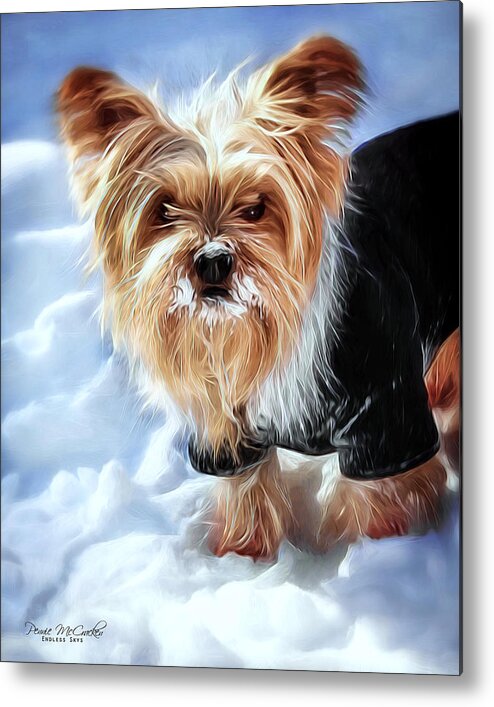 Yorkie Metal Print featuring the digital art Whose Bright Idea Was This by Pennie McCracken