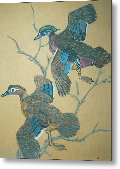 Nature Metal Print featuring the pastel Wood Ducks by Vallee Johnson