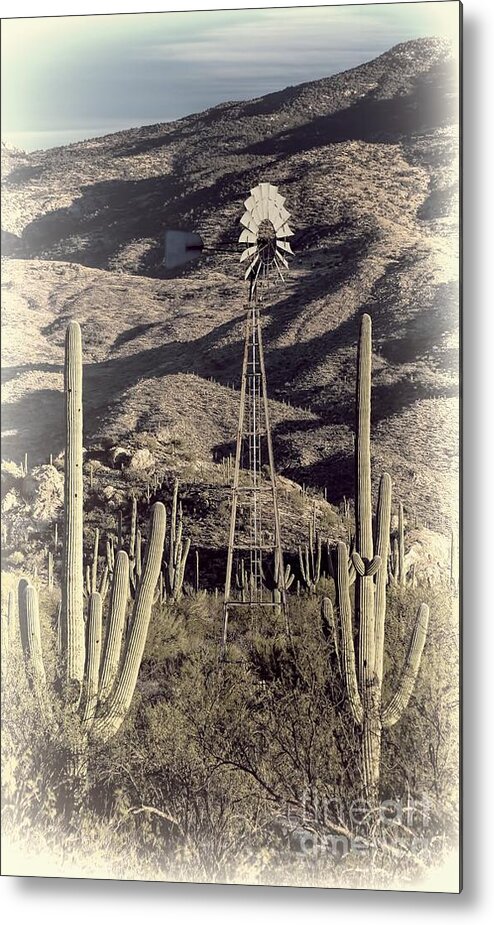 Arizona Metal Print featuring the photograph Arizona Dry by Henry Kowalski