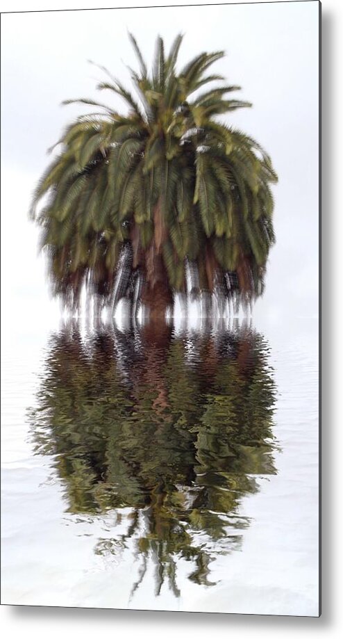 Palm Tree Metal Print featuring the photograph California dreaming by Suzy Norris