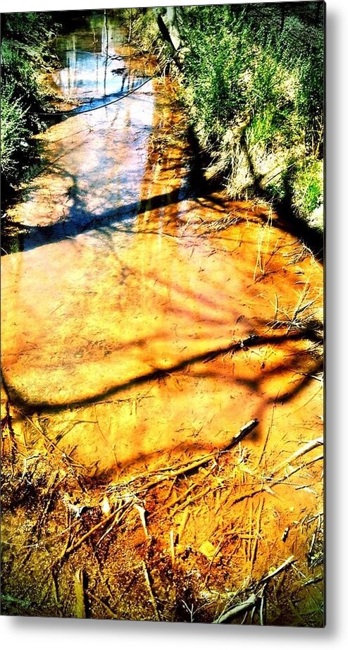 Stream Metal Print featuring the photograph Streams end by Michele Monk