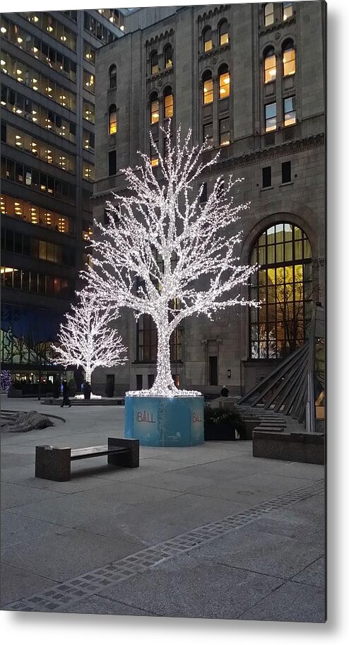 Landscape Metal Print featuring the photograph Tree of Lights I by Nicky Jameson
