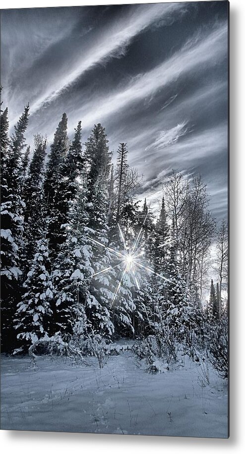 Star Metal Print featuring the photograph Winter Star by David Andersen
