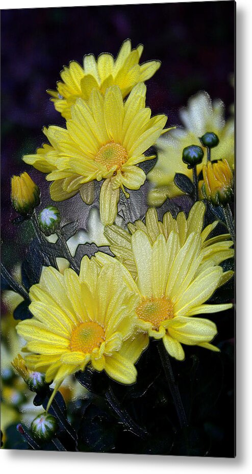 Yellow Metal Print featuring the photograph Pretty in Yellow #2 by Karen Harrison Brown