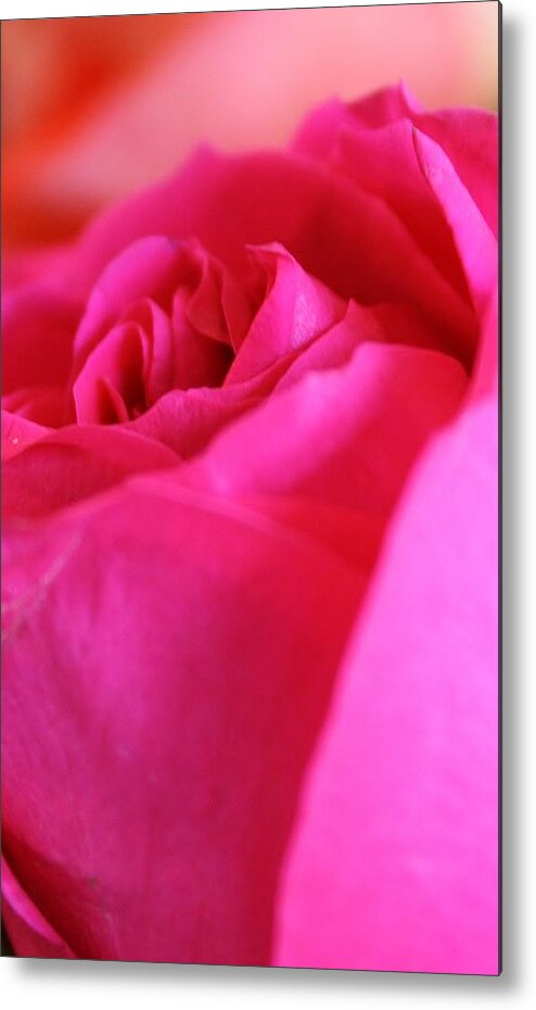 Flora Metal Print featuring the photograph Pink Fantasy by Bruce Bley