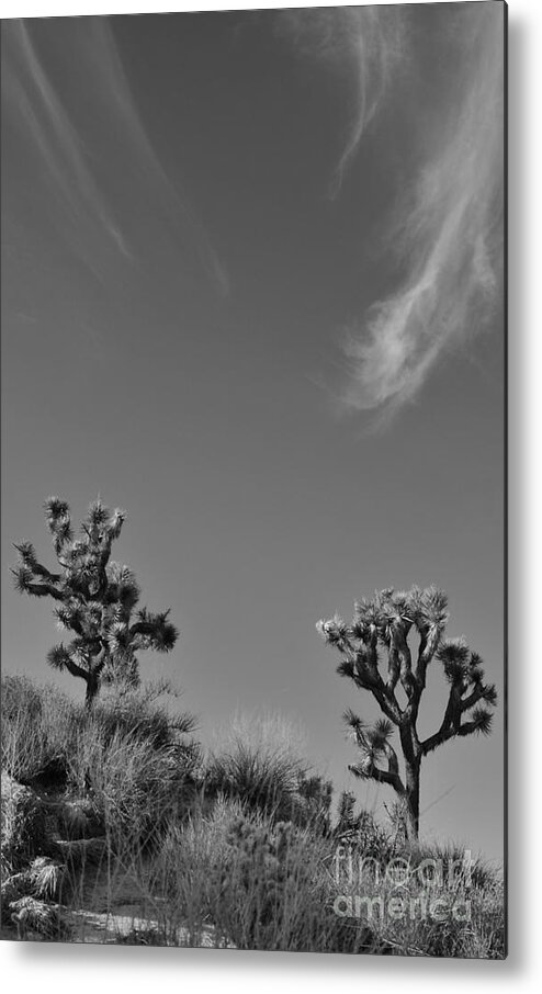  Wisp Of Cloud Metal Print featuring the photograph Cloud Wisp by Angela J Wright