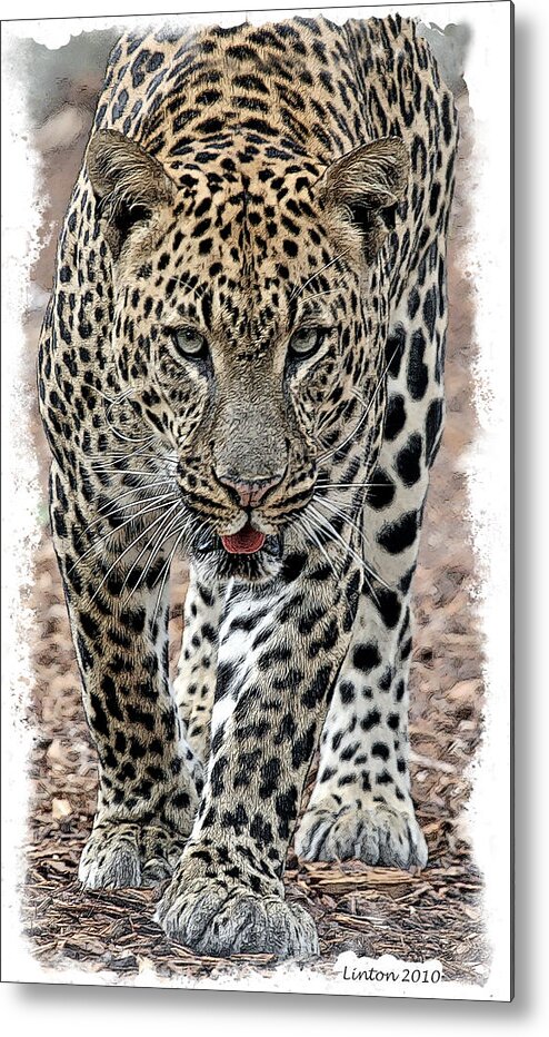 African Leopard Metal Print featuring the digital art African Leopard #5 by Larry Linton