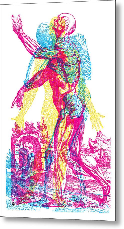Antique Metal Print featuring the painting Andreae Vesalii Anatomy 1 by Gary Grayson