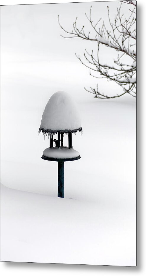 Bird Feeder In Snow Metal Print featuring the photograph Bird Feeder in Snow by Greg Reed