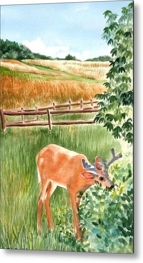 Deer Metal Print featuring the painting Deer eating Leaves by Judy Swerlick