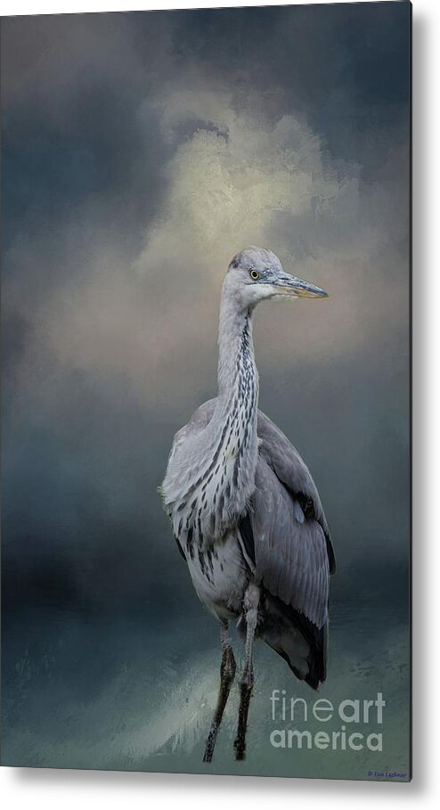 Great Blue Heron Metal Print featuring the photograph Great Blue Heron by Eva Lechner