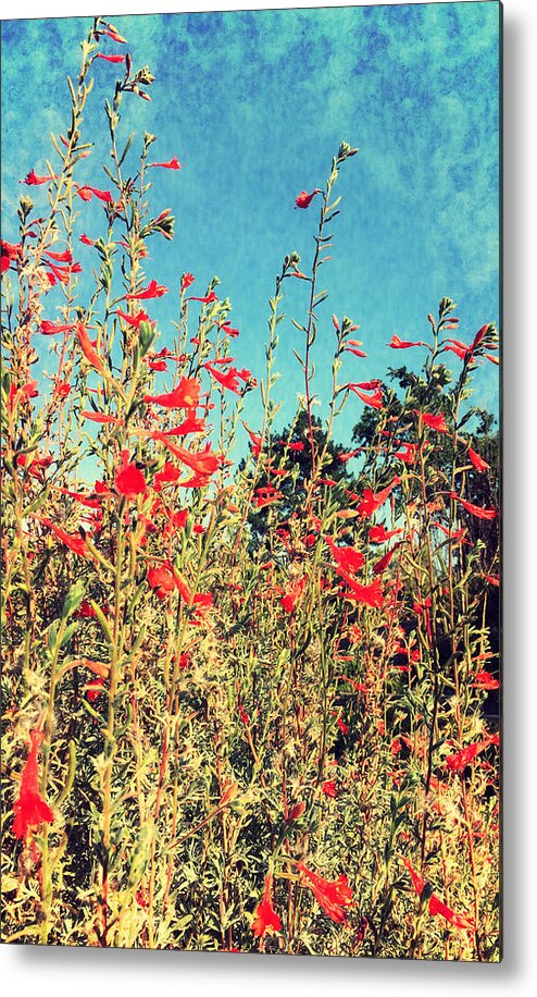 Flower Metal Print featuring the photograph Red Trumpets Playing by Brad Hodges