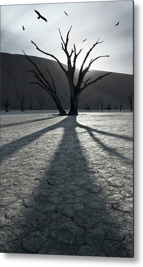 Deadvlei Metal Print featuring the photograph 900 Years After by Sebastien Del Grosso