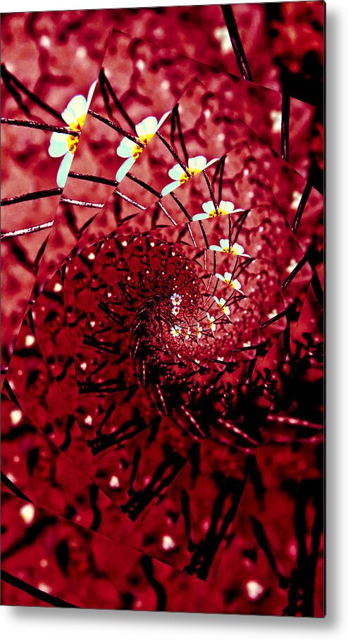 Arizona Metal Print featuring the photograph Woolly Daisy Wave by Judy Kennedy