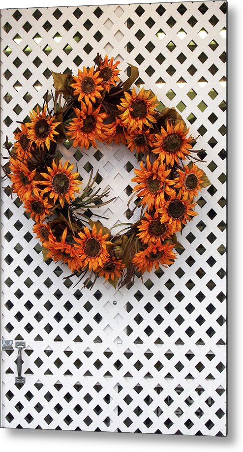 Photography Metal Print featuring the photograph Sunflower Wreath by Dorothy Lee