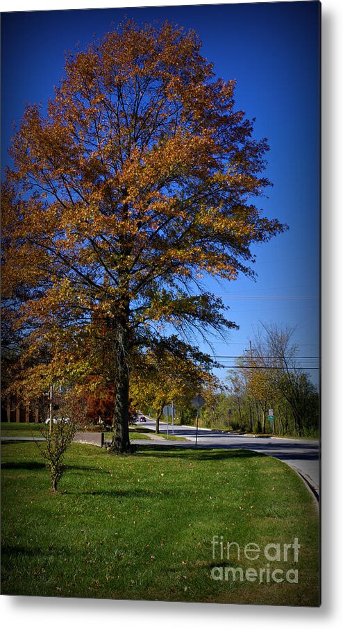 Landscape Metal Print featuring the photograph The Seasons of Life by Frank J Casella