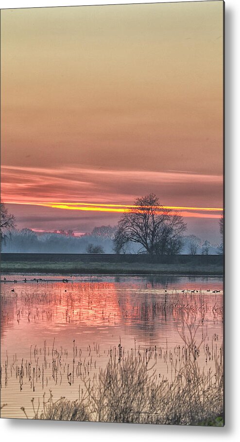 Wildlife Metal Print featuring the photograph Twilight at Cosumnes River Preserve 7746 by Tom Kelly