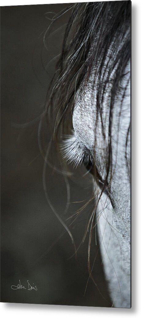 Flatlandsfoto Metal Print featuring the photograph Gracie by Joan Davis