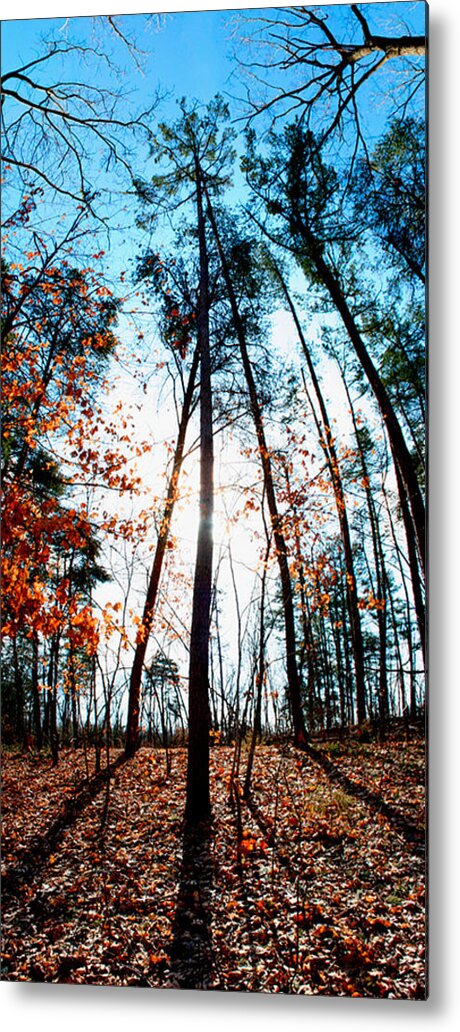 Mark Twain Forest Metal Print featuring the photograph Mark Twain Forest by Jon Emery