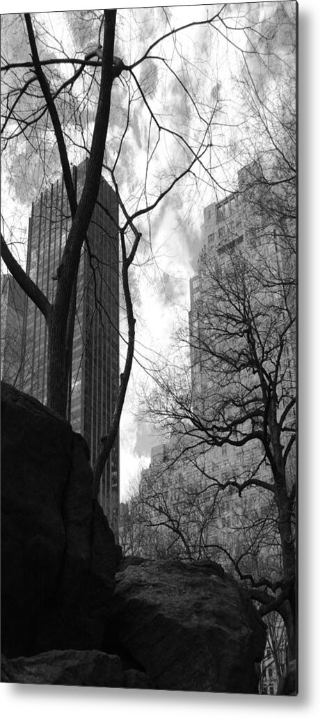 Central Park Metal Print featuring the photograph Central Park One by Steve Sperry