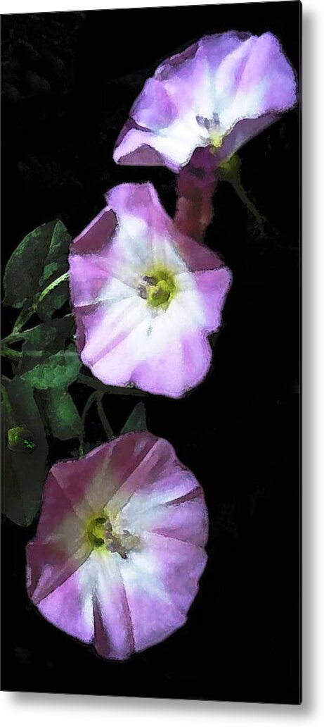 Flowers Metal Print featuring the photograph Glory by Jerry Hellinga