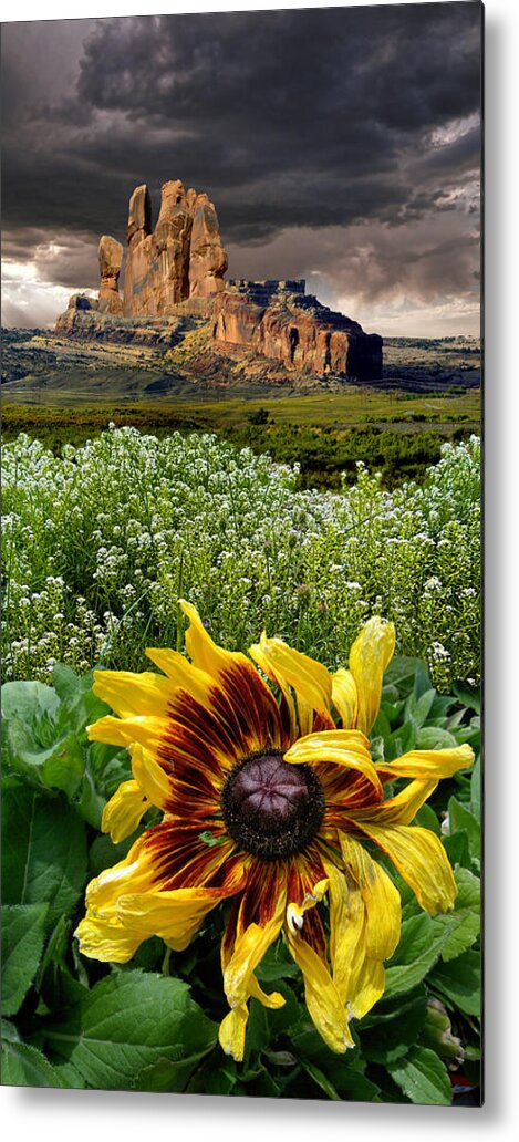 Flowers Metal Print featuring the photograph 4165 by Peter Holme III