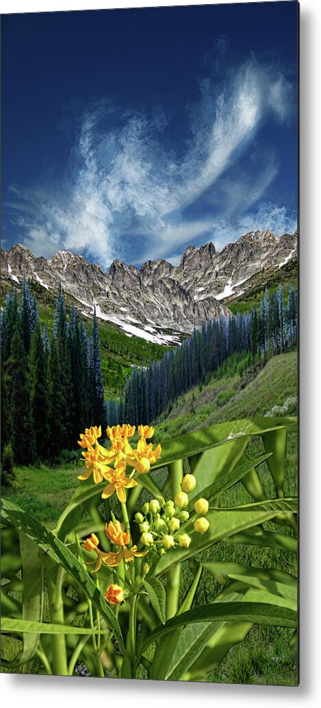 Mountains Metal Print featuring the photograph 4415 by Peter Holme III