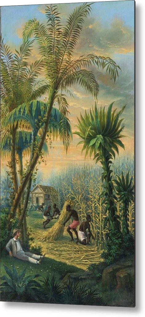 Anonymous Metal Print featuring the painting Cutting Sugarcane In The Antilles by Anonymous