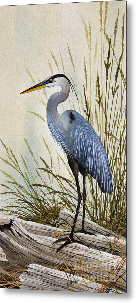 Great Blue Heron. Great Blue Heron Painting Metal Print featuring the painting Great Blue Heron Shore by James Williamson