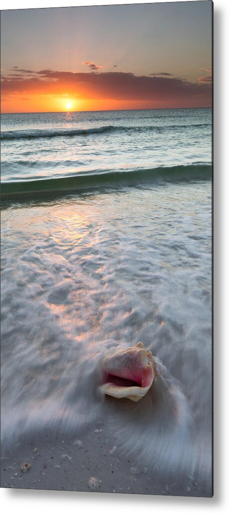 Florida Metal Print featuring the photograph Gulf Coast Sunset by Patrick Downey