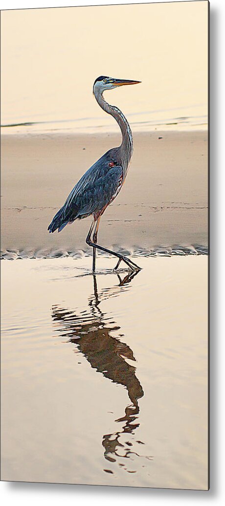 Wildlife Metal Print featuring the photograph Gulf Port Great Blue Heron by Scott Cordell