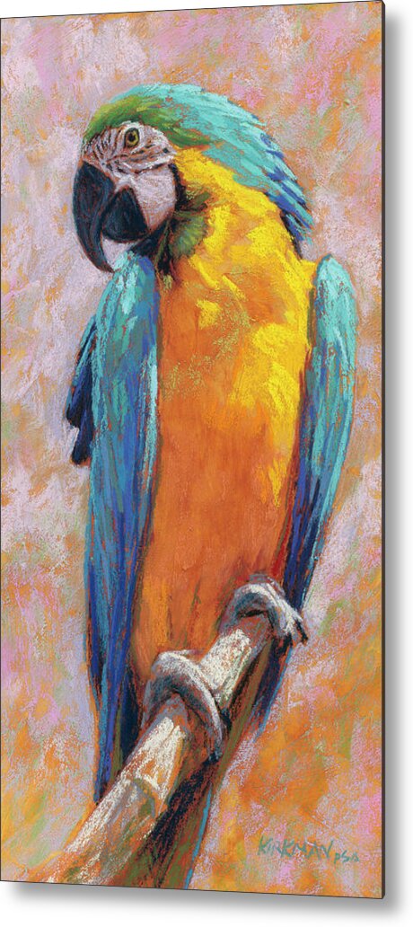 Macaw Metal Print featuring the pastel Macaw by Rita Kirkman