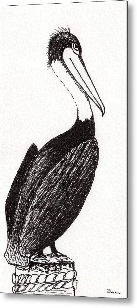 Animals Metal Print featuring the drawing Pelican Paradise Portrait in Ink C2L by Ricardos Creations