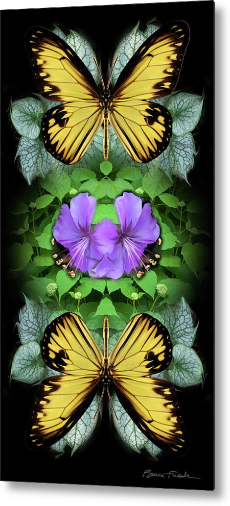 Botanical Metal Print featuring the photograph Purple Hibiscus by Bruce Frank