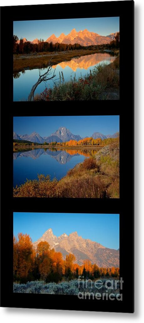 Tetons Metal Print featuring the photograph Tetons Park Trio by Idaho Scenic Images Linda Lantzy