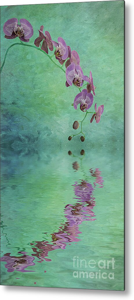 Pink Metal Print featuring the mixed media Tranquility by Elisabeth Lucas